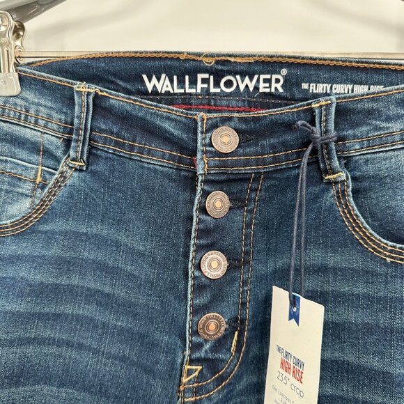 Wallflower The Flirty Curve High Rise Stretch Jeans size 9 29 Distressed Crop - Picture 5 of 11